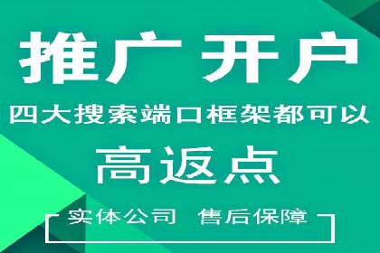 SEM网络推广案例：打造行业影响力品牌